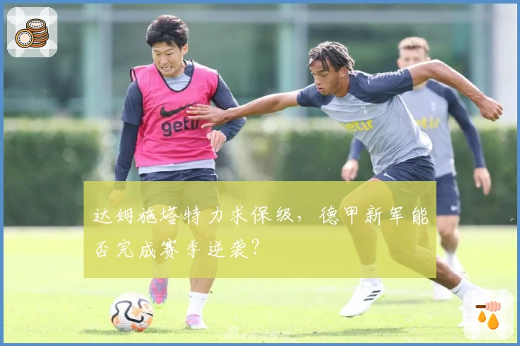 达姆施塔特力求保级，德甲新军能否完成赛季逆袭？