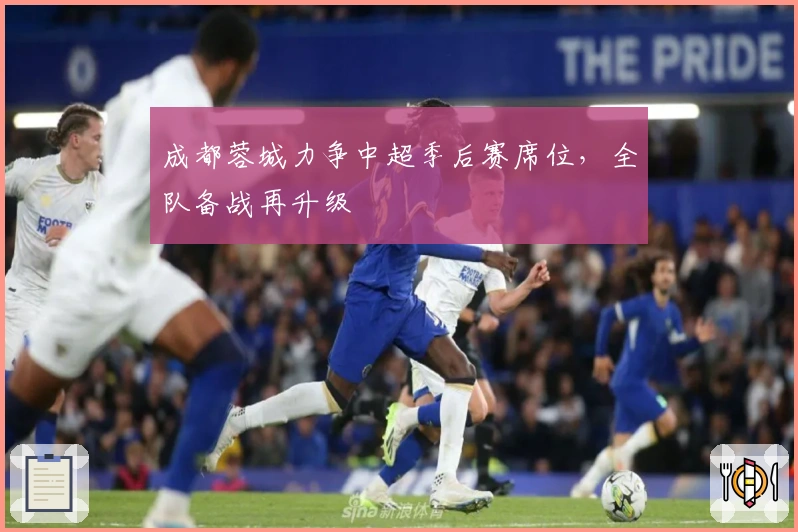 成都蓉城力争中超季后赛席位，全队备战再升级