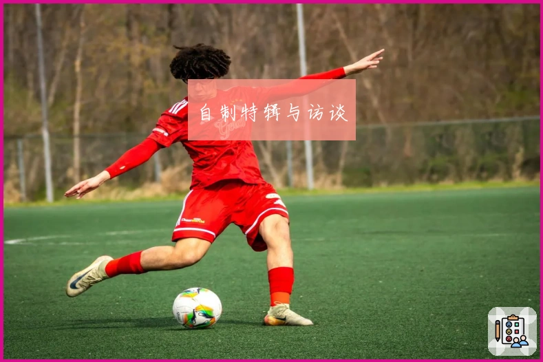 自制特辑与访谈